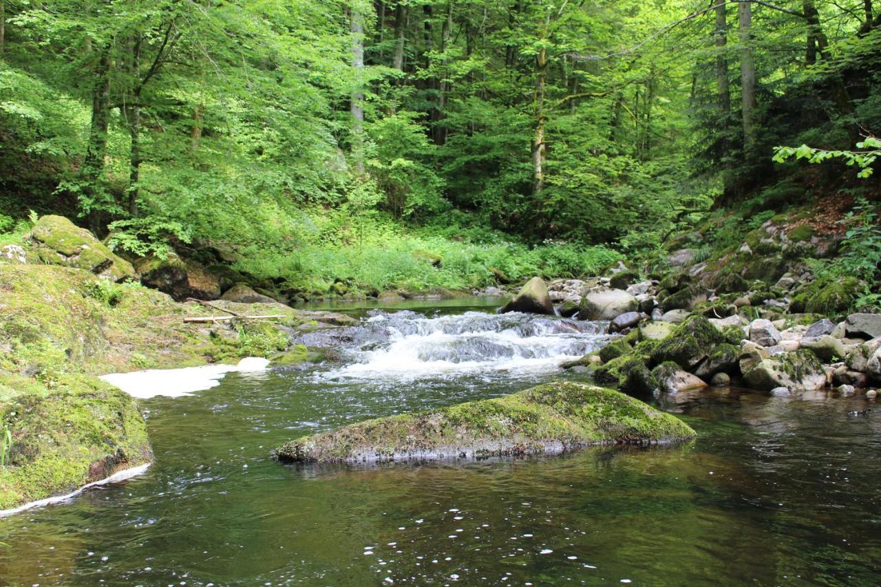 Ferienwohnung Hofleben Reiner Neukirchen vorm Wald Eksteriør bilde